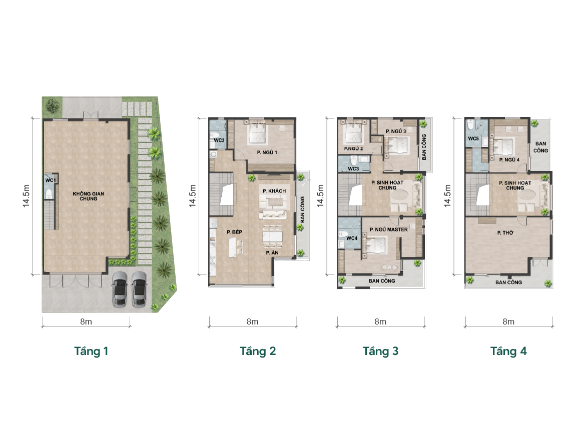 mat-bang Shophouse Sinature